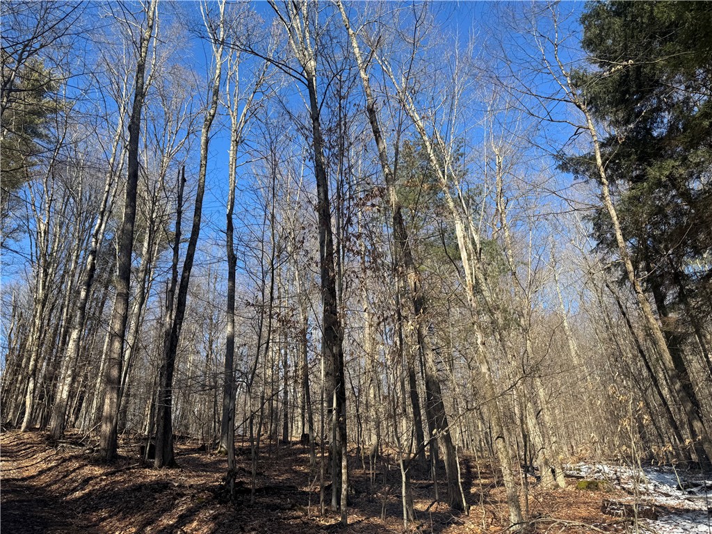 Patent Line Road Franklin, NY 13775 - Photo 21 of 29