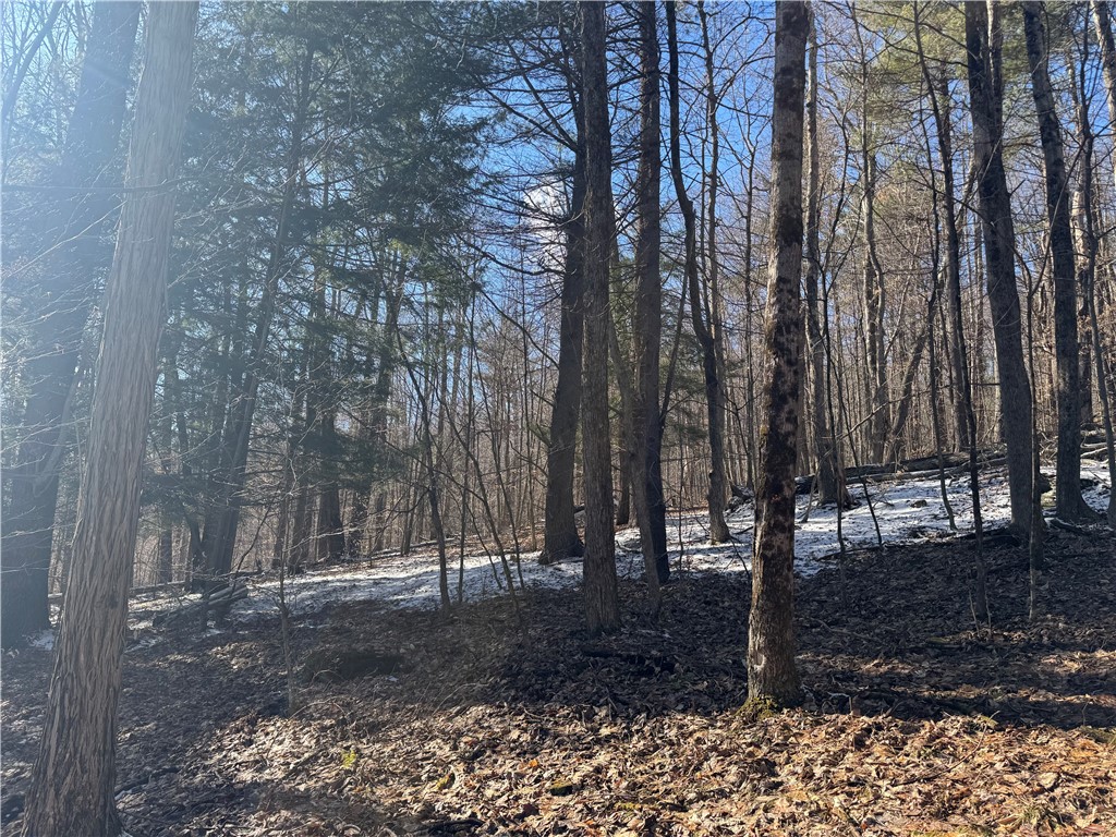 Patent Line Road Franklin, NY 13775 - Photo 22 of 29