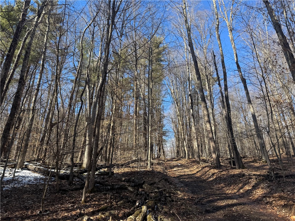 Patent Line Road Franklin, NY 13775 - Photo 23 of 29