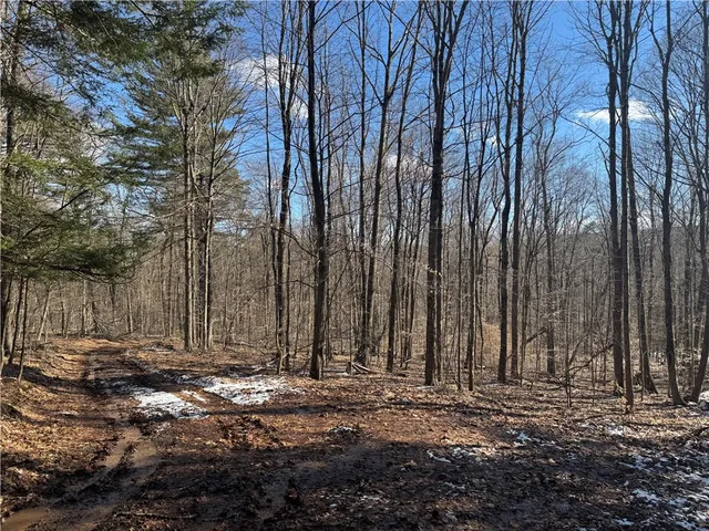 $225,000 | Patent Line Road, Franklin, NY 13775