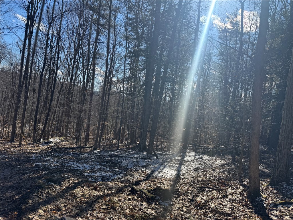 Patent Line Road Franklin, NY 13775 - Photo 25 of 29