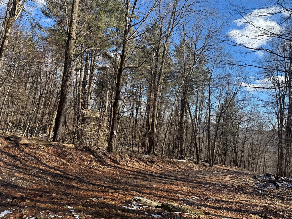 Patent Line Road Franklin, NY 13775 - Photo 26 of 29