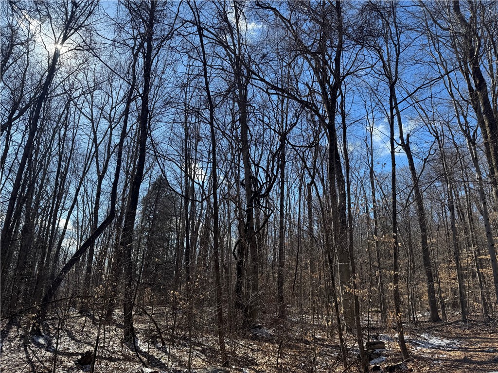 Patent Line Road Franklin, NY 13775 - Photo 27 of 29