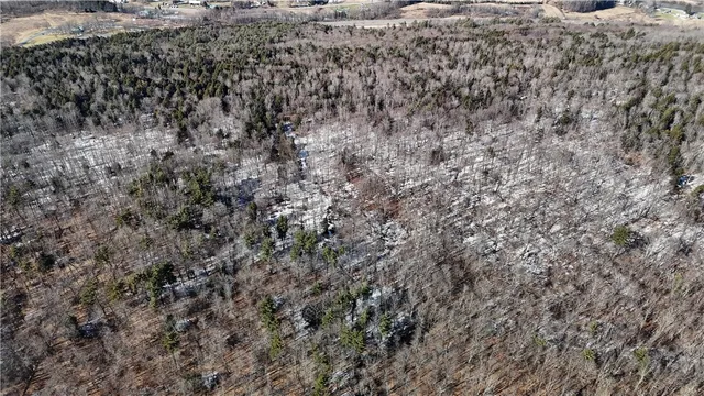 $225,000 | Patent Line Road, Franklin, NY 13775