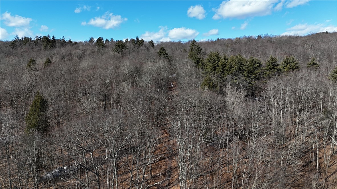 Patent Line Road Franklin, NY 13775 - Photo 4 of 29