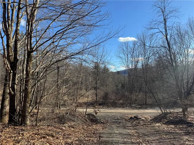 $225,000 | Patent Line Road, Franklin, NY 13775