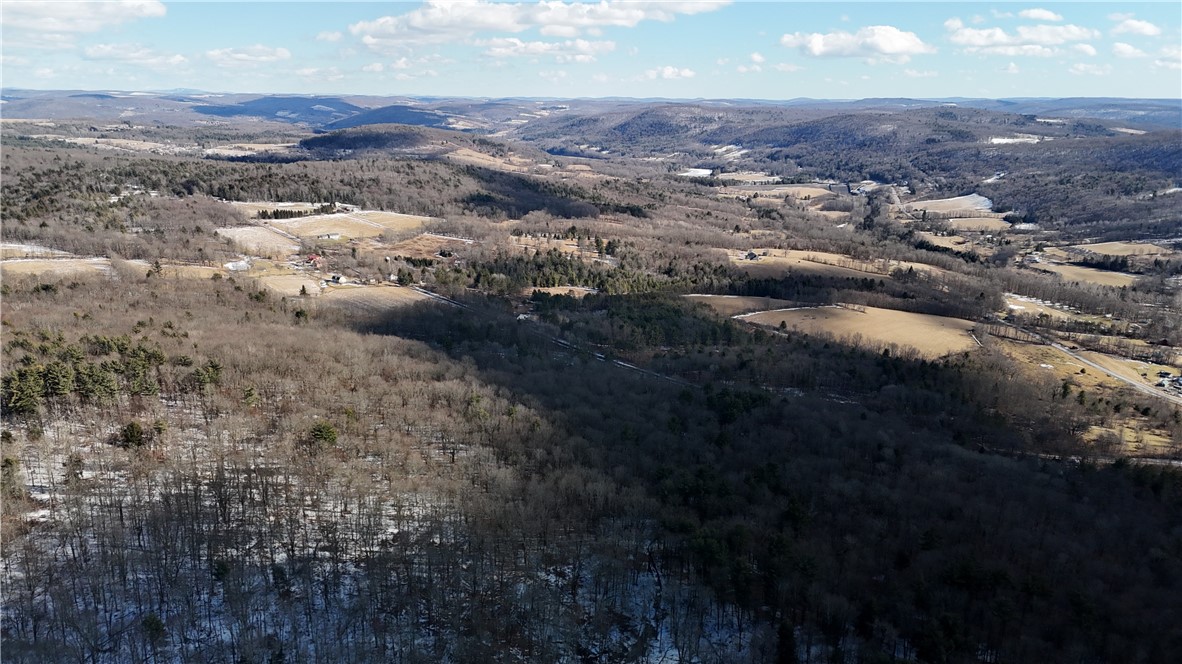 Patent Line Road Franklin, NY 13775 - Photo 6 of 29