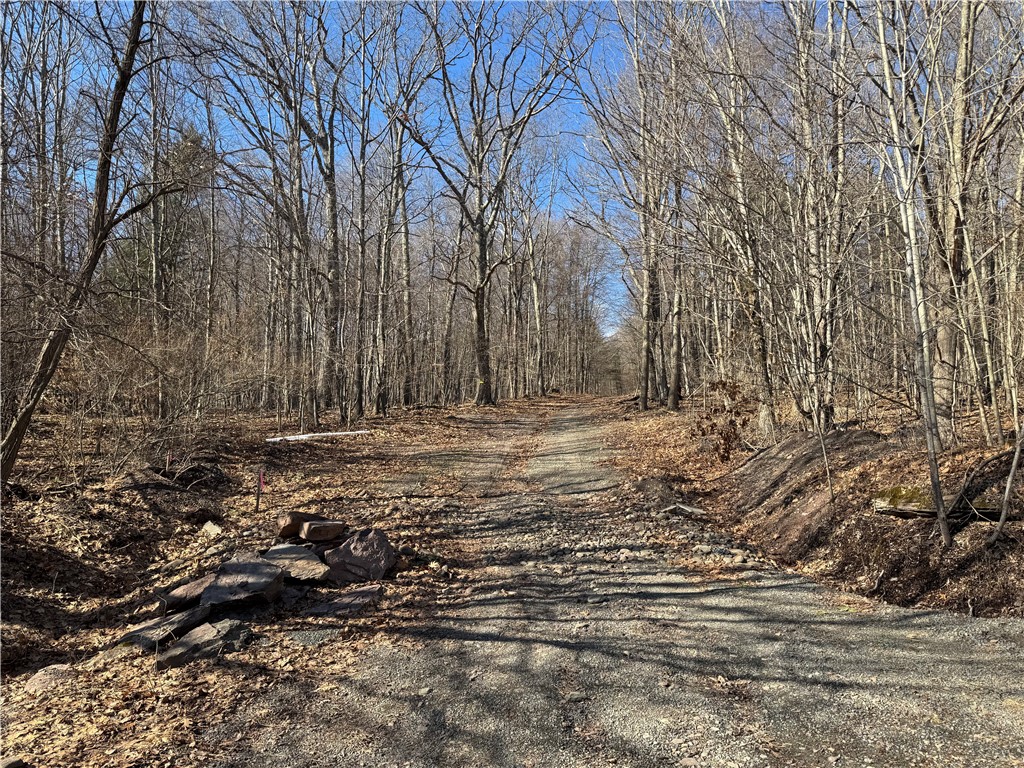 Patent Line Road Franklin, NY 13775 - Photo 7 of 29