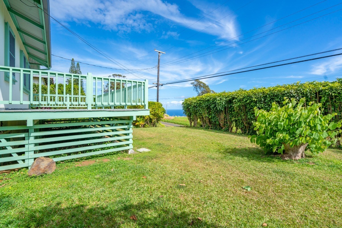 48-5263 Kukuihaele Road Honokaa, HI 96727 - Photo 20 of 30 a view of a back yard