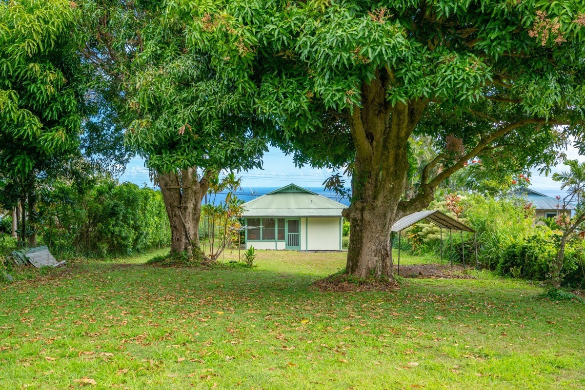 48-5263 Kukuihaele Road Honokaa, HI 96727 - Photo 23 of 30 a front view of a house with a yard