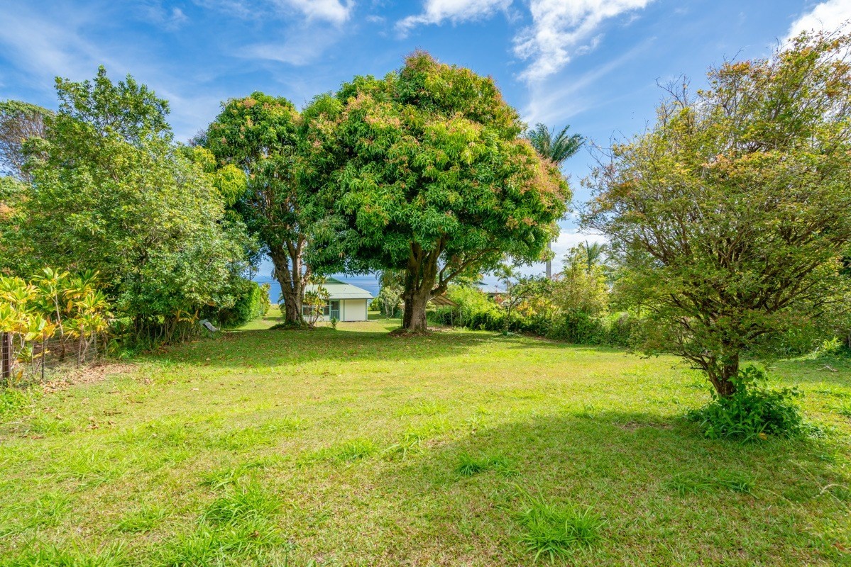 48-5263 Kukuihaele Road Honokaa, HI 96727 - Photo 24 of 30 a view of a trees in a yard