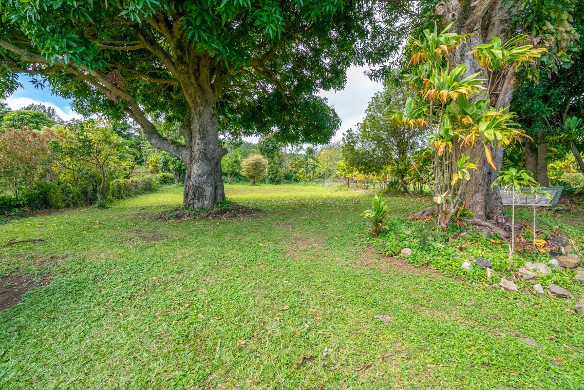 48-5263 Kukuihaele Road Honokaa, HI 96727 - Photo 25 of 30 a view of outdoor space with deck and yard