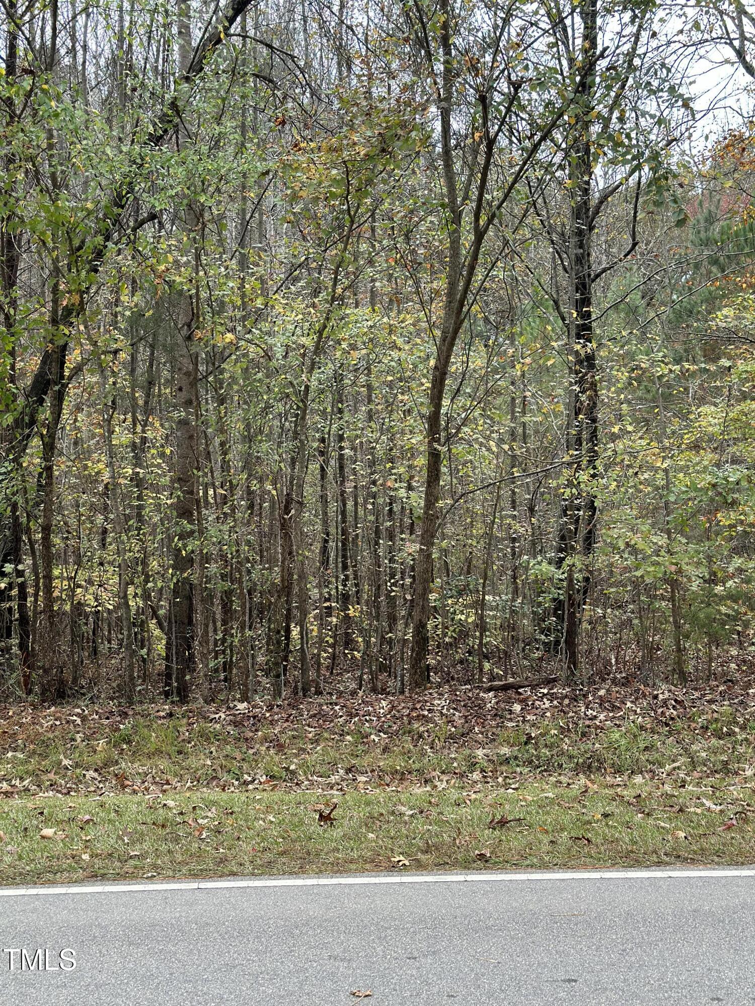 269 Raleigh Farms Road Youngsville, NC 27596 - Photo 3 of 7 IMG_1219 (1)