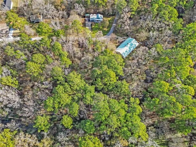 a close up of a plant in a garden