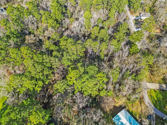 a backyard of a house with lots of plants
