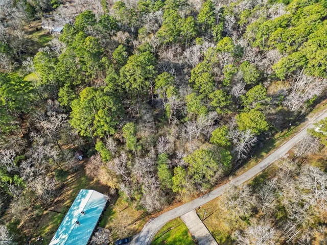a view of a garden with an outdoor space