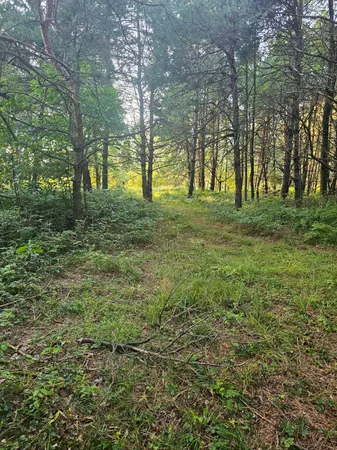 $159,500 | 15410 Johnson Road, Kaleva, MI 49645