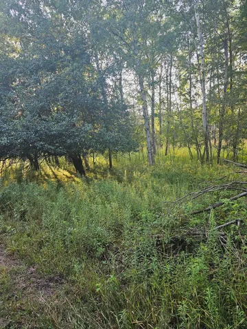 $168,900 | 15410 Johnson Road, Kaleva, MI 49645