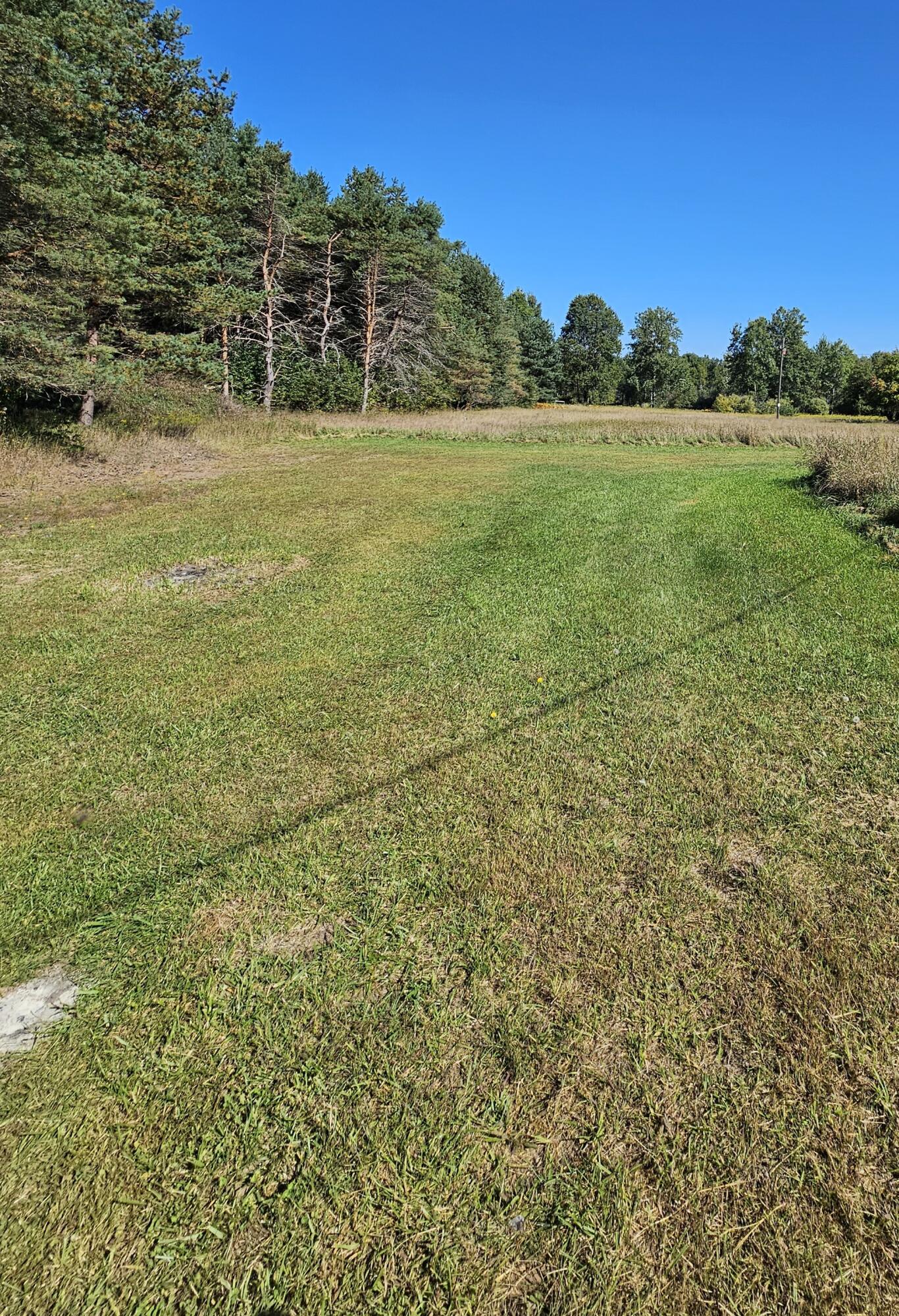 15410 Johnson Road Kaleva, MI 49645 - Photo 32 of 34 yard