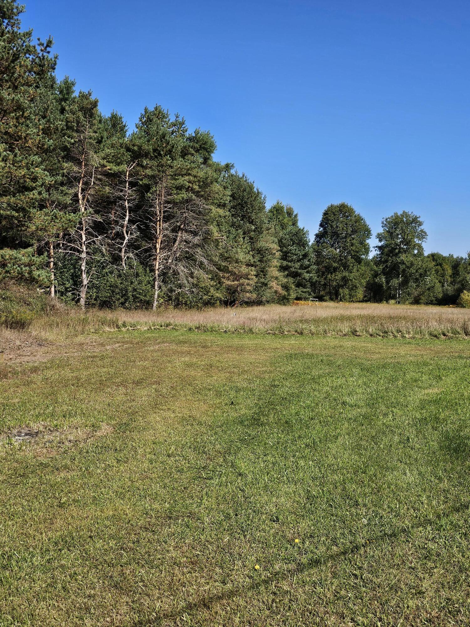 15410 Johnson Road Kaleva, MI 49645 - Photo 33 of 34 yard2