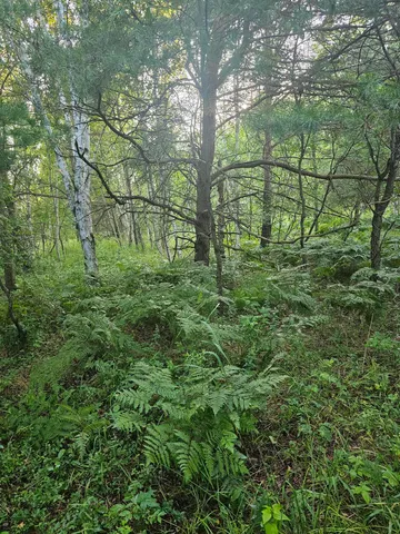 $168,900 | 15410 Johnson Road, Kaleva, MI 49645