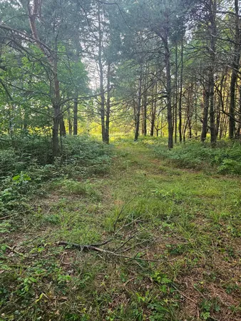 $159,500 | 15410 Johnson Road, Kaleva, MI 49645