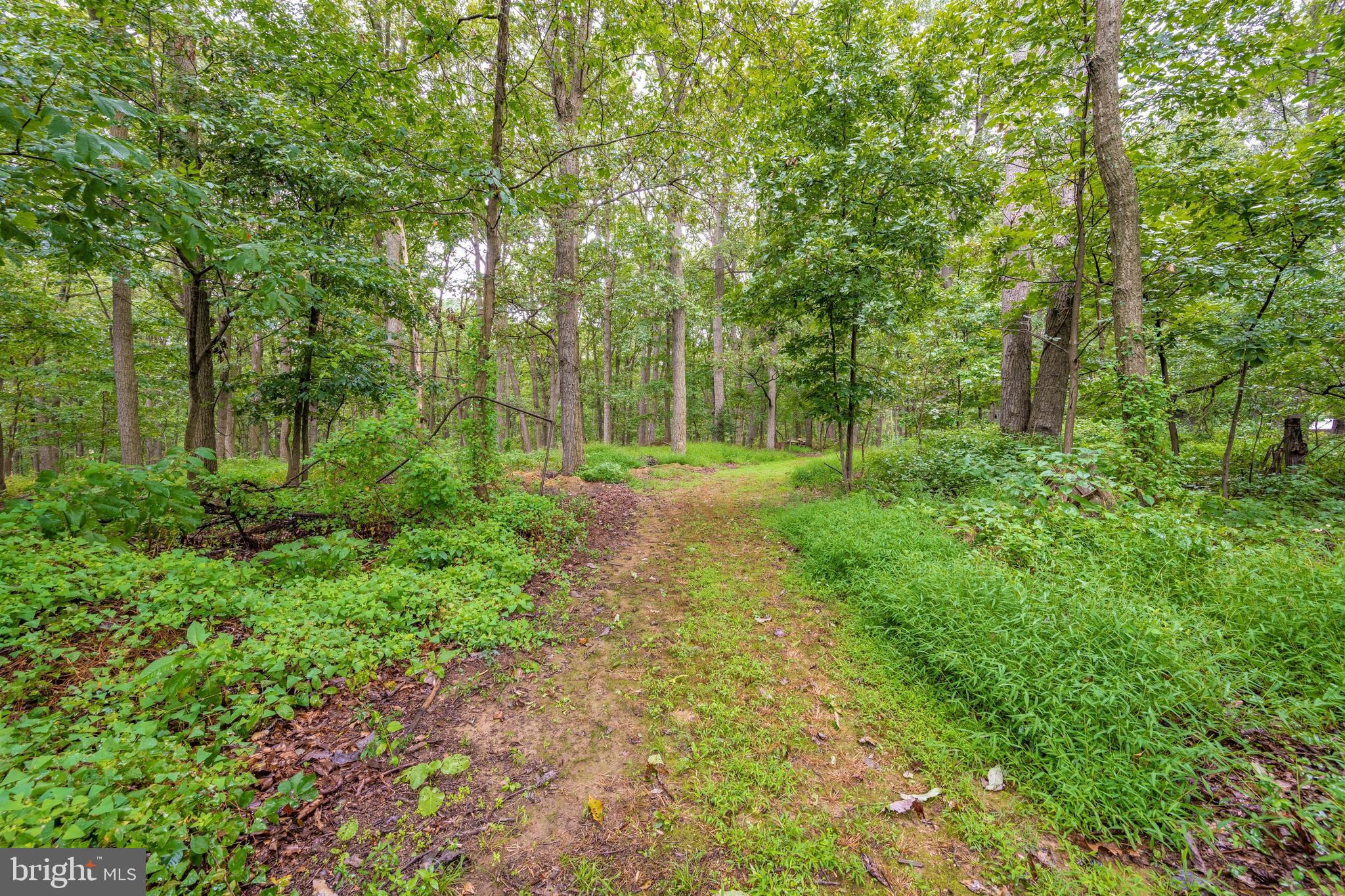 1710 Florence Road Mount Airy, MD 21771 - Photo 40 of 53