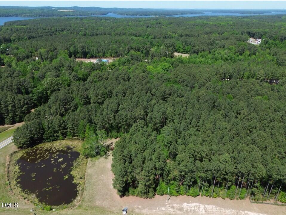 87 Hortons Pond Road Apex, NC 27523 - Photo 6 of 9 a view of a forest with a street