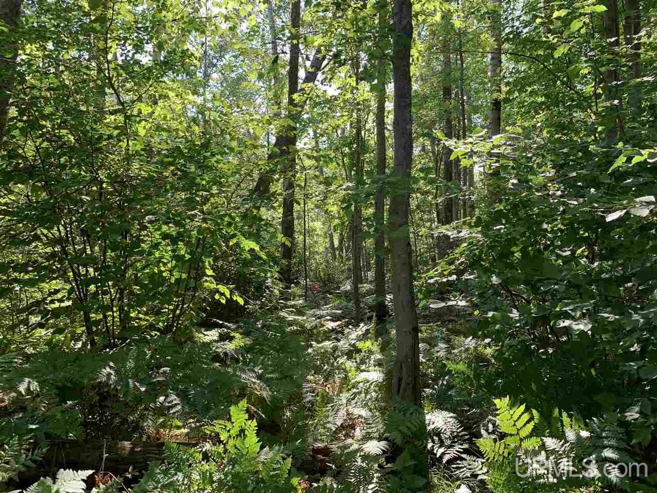 6 Indian Cemetery Road Lanse, MI 49946 - Photo 15 of 16