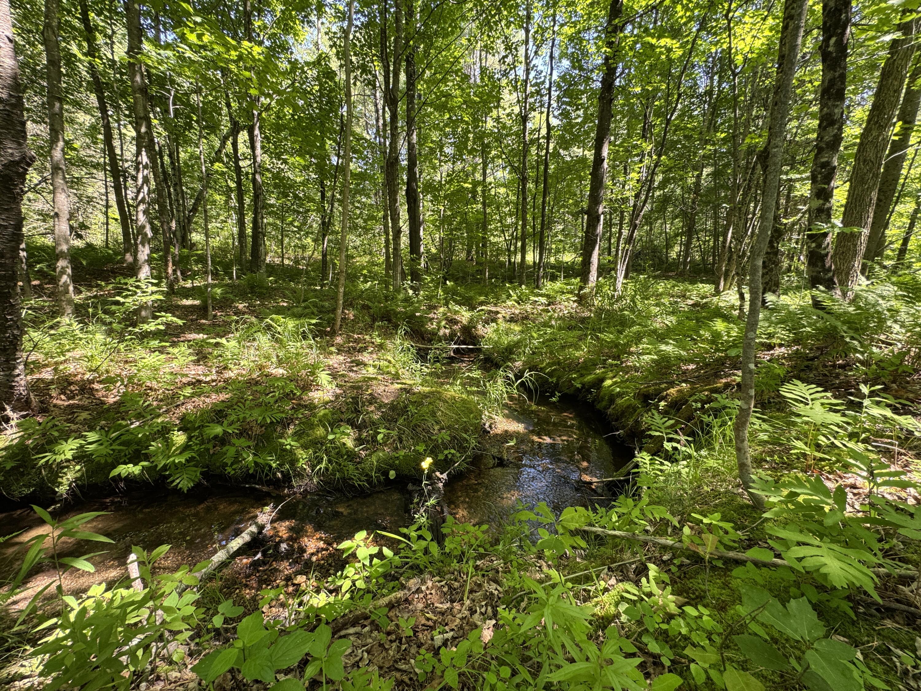 0 Main Street Lovell, ME 04051 - Photo 15 of 18 Brook