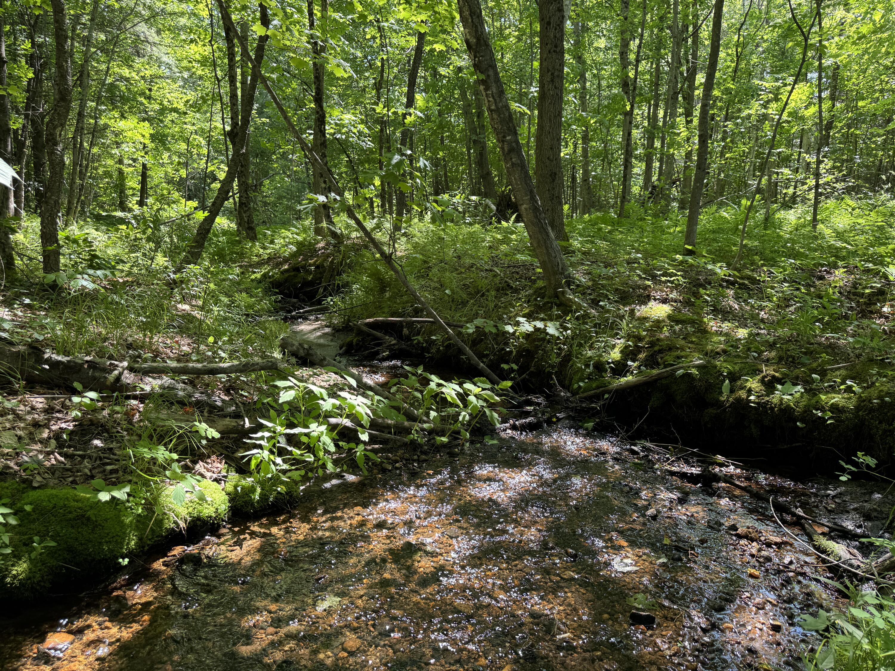 0 Main Street Lovell, ME 04051 - Photo 17 of 18 Brook