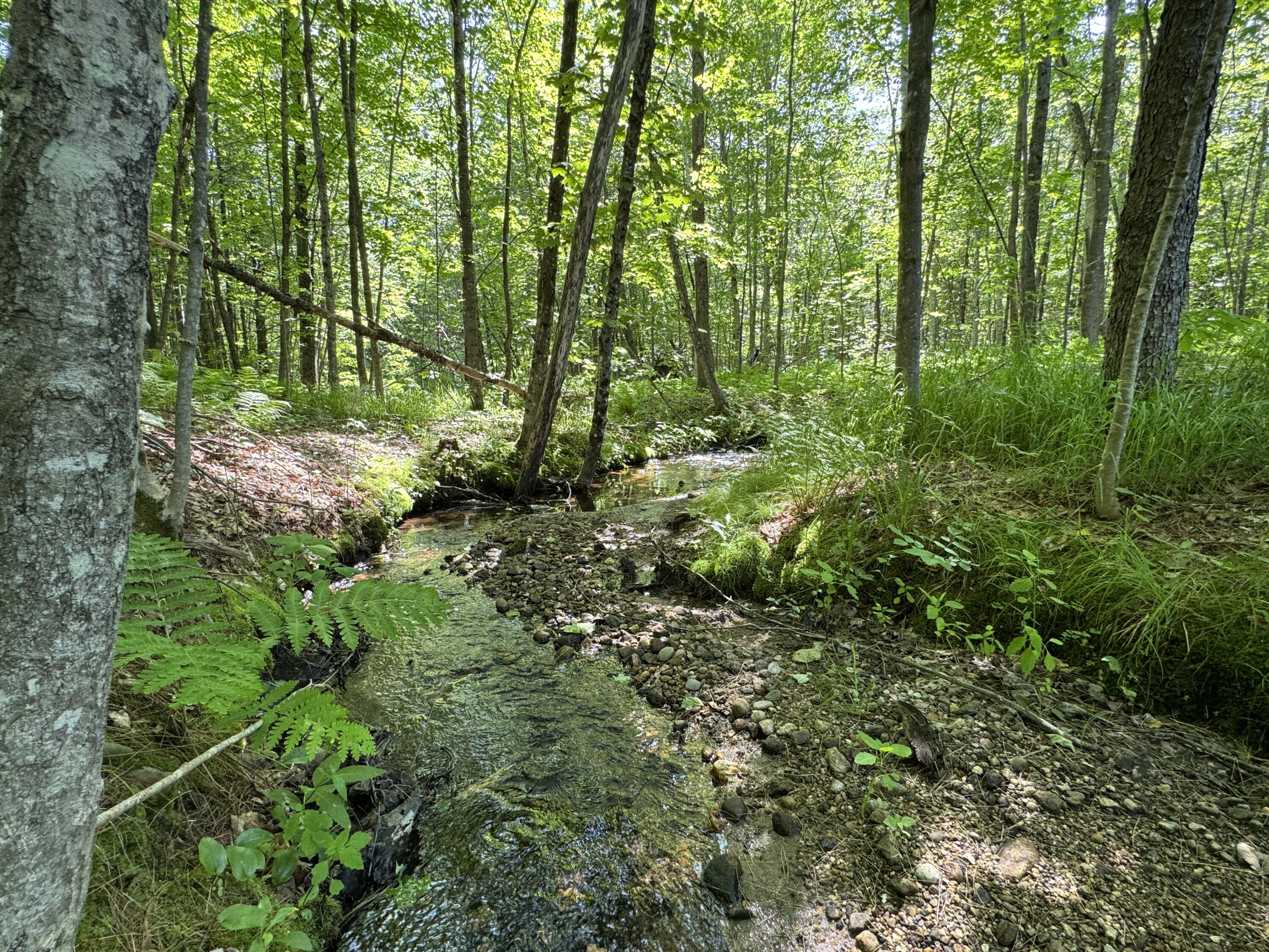 0 Main Street Lovell, ME 04051 - Photo 18 of 18 Brook
