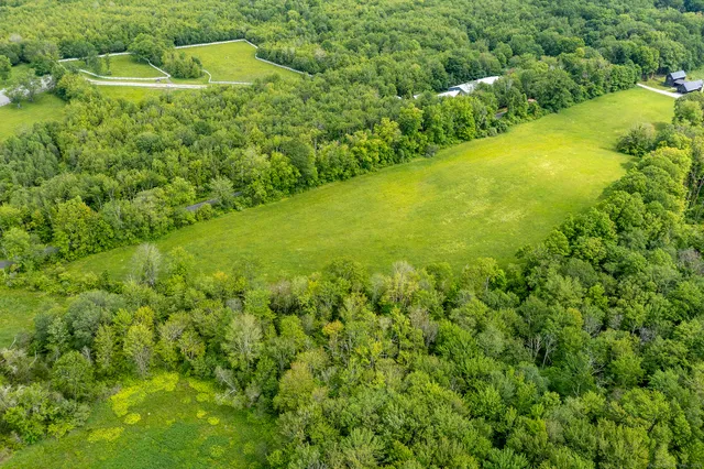 a view of a green yard with large trees