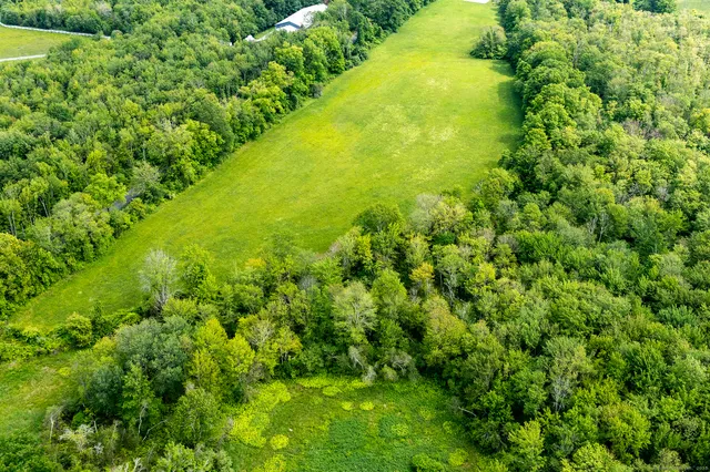 a view of a large trees