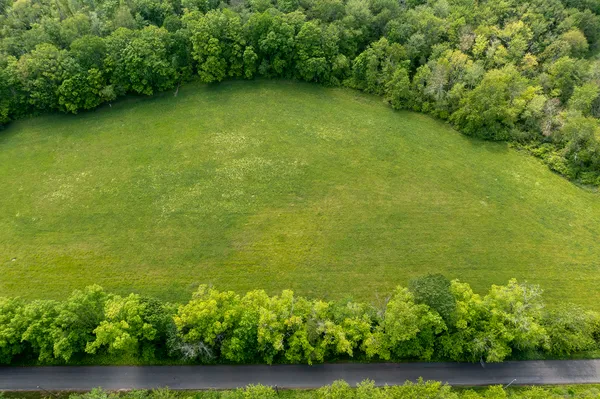 a view of a lake from a yard