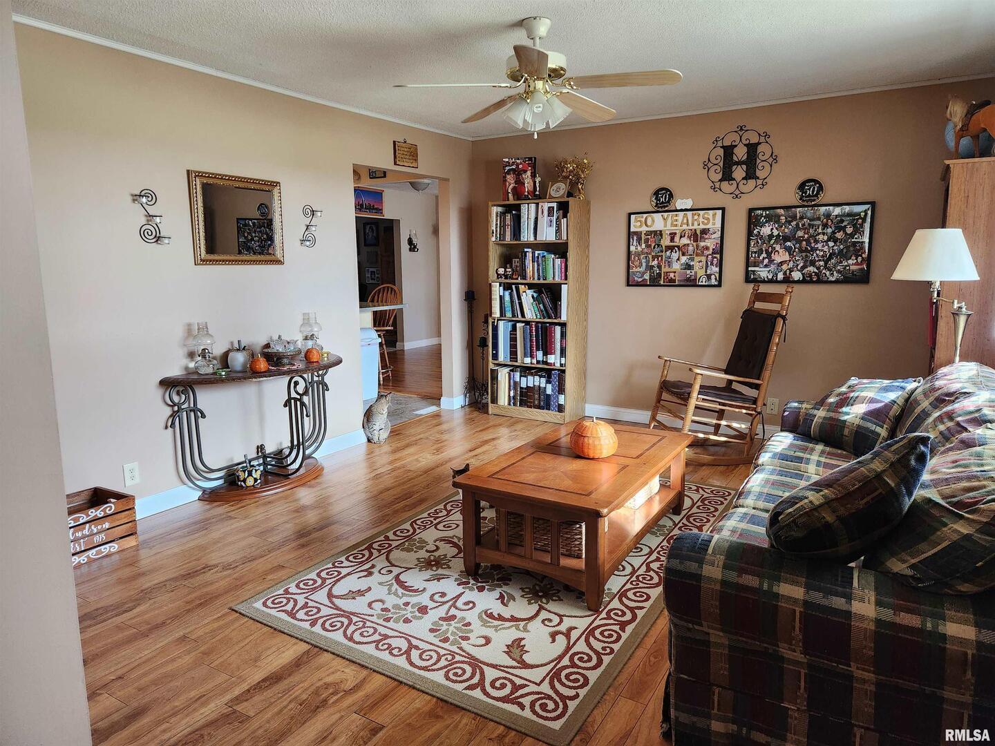 15766 East Tilton Road Ina, IL 62846 - Photo 7 of 59 a living room with furniture and a rug