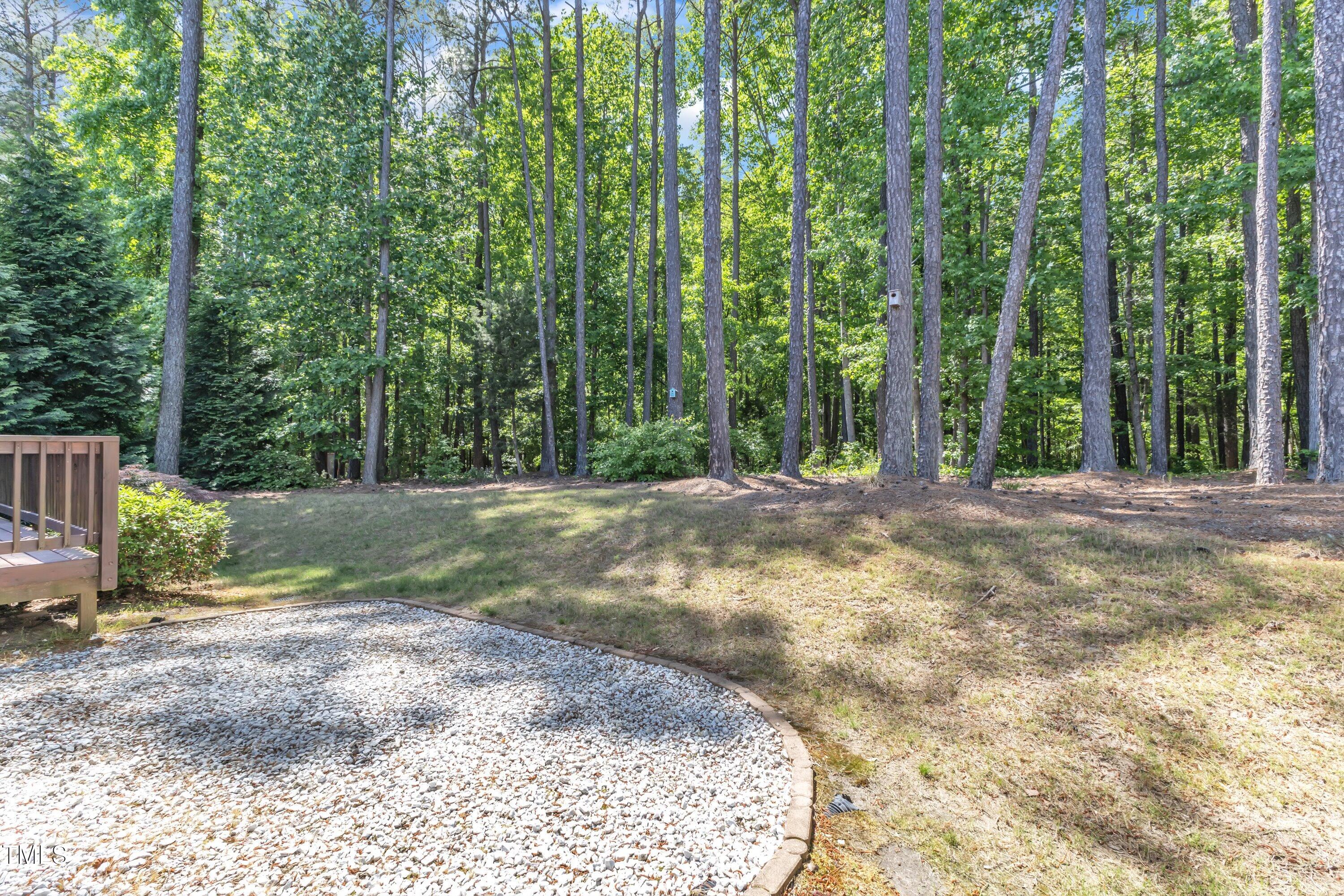 533 Opposition Way Wake Forest, NC 27587 - Photo 65 of 87 a view of outdoor space and yard