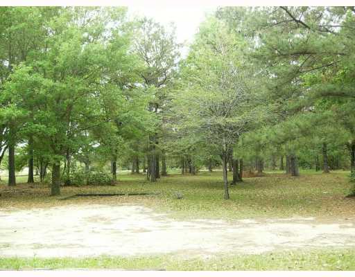 10618 Snake Jenkins Road Bogalusa, LA 70427 - Photo 7 of 7 Gallery Image 7