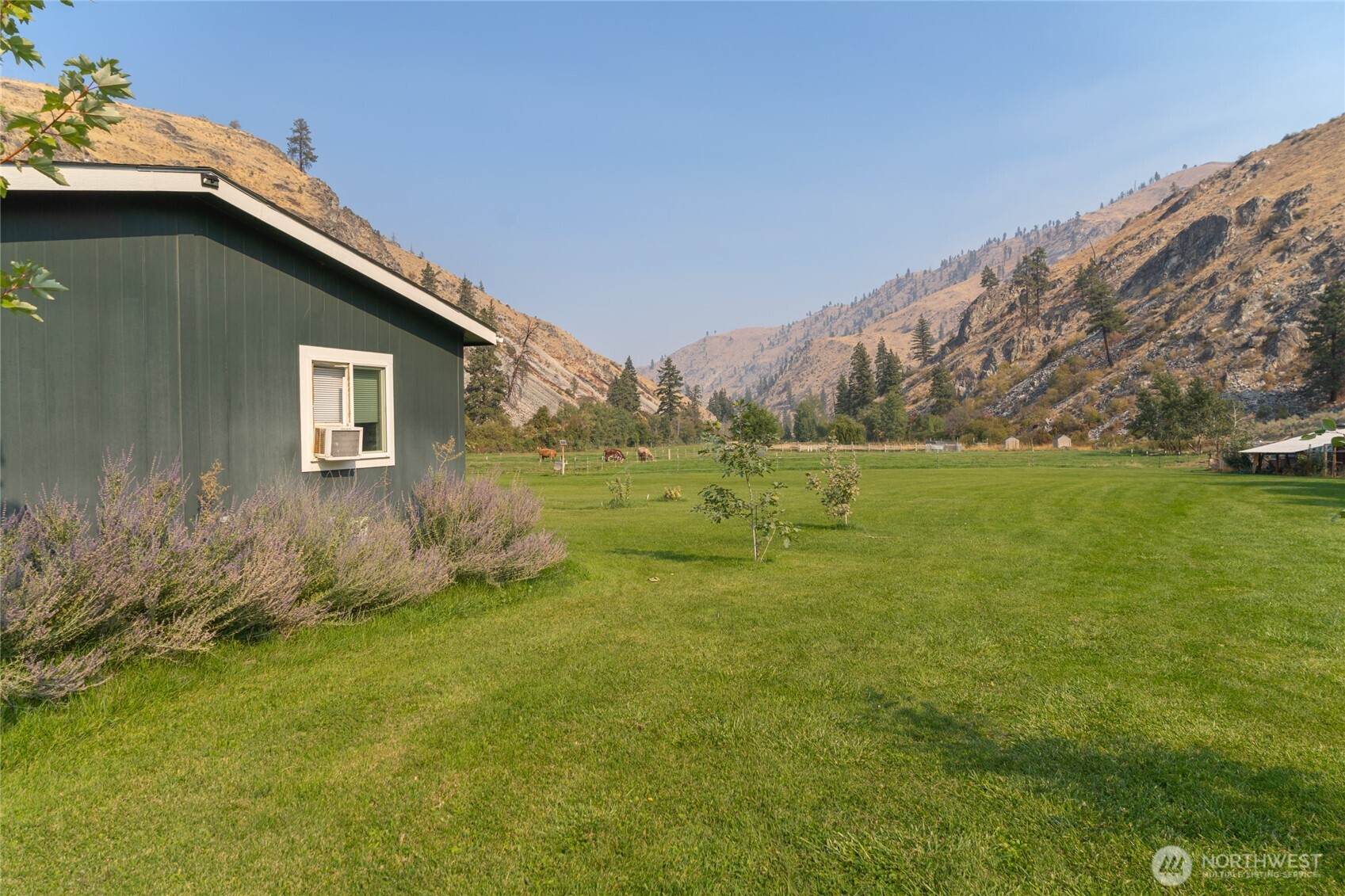 2560 Antoine Creek Road Chelan, WA 98816 - Photo 29 of 38 a backyard of a house with lots of green space