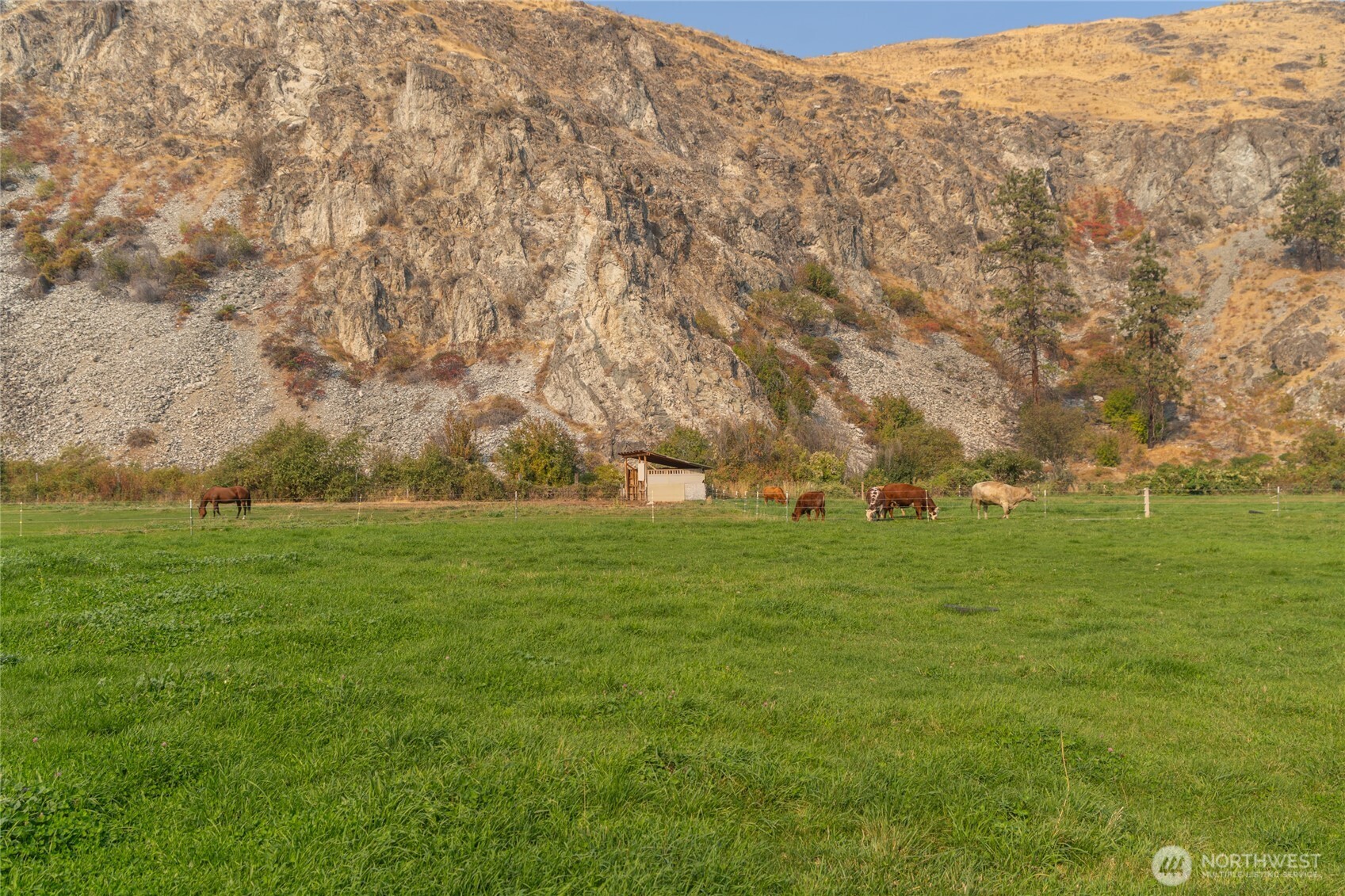 2560 Antoine Creek Road Chelan, WA 98816 - Photo 33 of 38 a view of grassy field with trees
