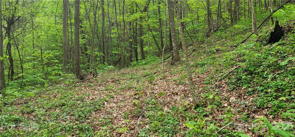114 B Chimney Ridge Trail Waynesville, NC 28786 - Photo 11 of 27 Gallery Image 11