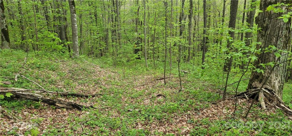 114 B Chimney Ridge Trail Waynesville, NC 28786 - Photo 12 of 27 Gallery Image 12