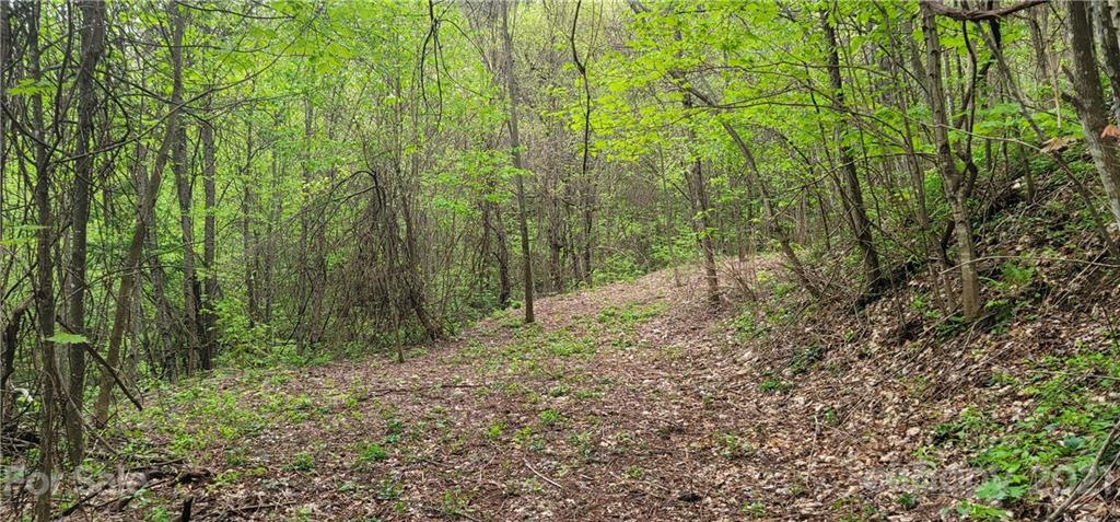 114 B Chimney Ridge Trail Waynesville, NC 28786 - Photo 14 of 27 Gallery Image 14