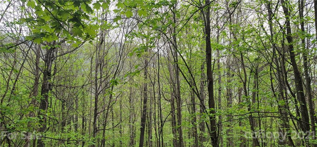 114 B Chimney Ridge Trail Waynesville, NC 28786 - Photo 15 of 27 Gallery Image 15