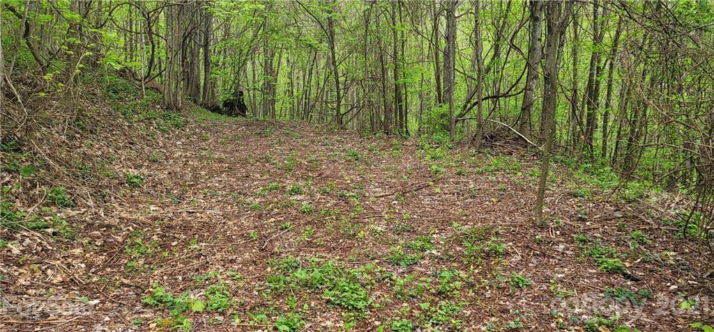114 B Chimney Ridge Trail Waynesville, NC 28786 - Photo 17 of 27 Gallery Image 17