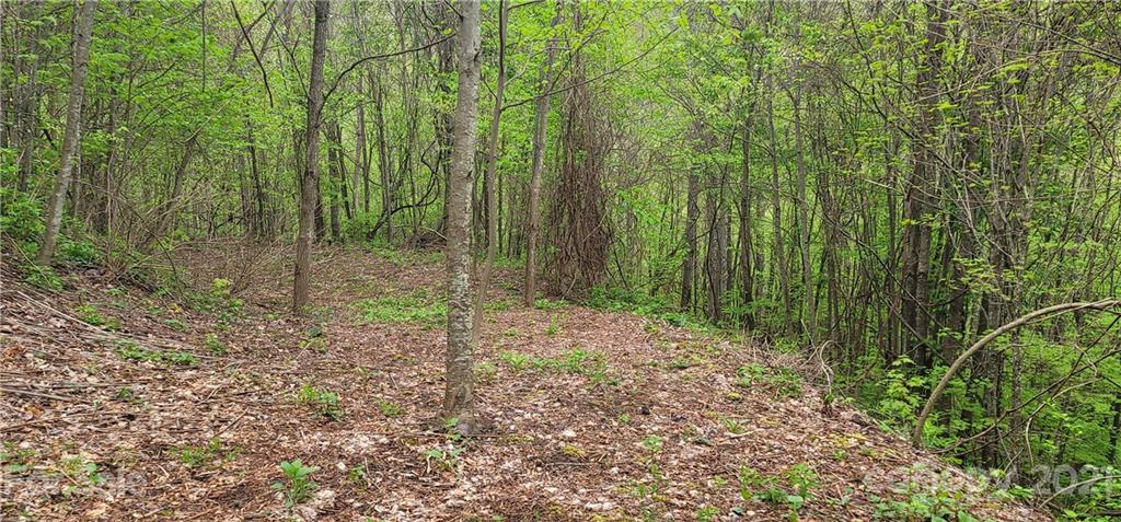 114 B Chimney Ridge Trail Waynesville, NC 28786 - Photo 18 of 27 Gallery Image 18