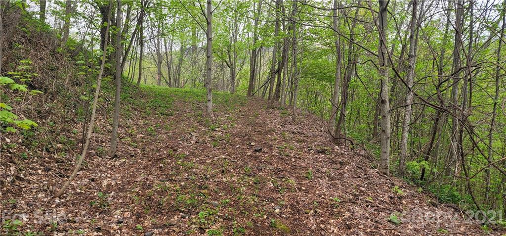 114 B Chimney Ridge Trail Waynesville, NC 28786 - Photo 19 of 27 Gallery Image 19