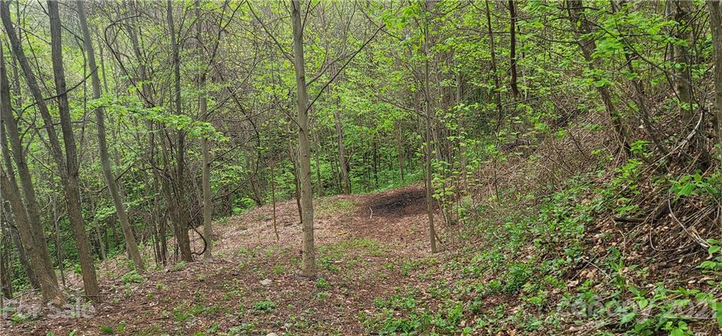 114 B Chimney Ridge Trail Waynesville, NC 28786 - Photo 20 of 27 Gallery Image 20