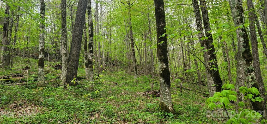 114 B Chimney Ridge Trail Waynesville, NC 28786 - Photo 8 of 27 Gallery Image 8