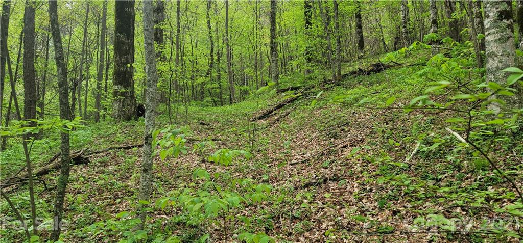 114 B Chimney Ridge Trail Waynesville, NC 28786 - Photo 9 of 27 Gallery Image 9